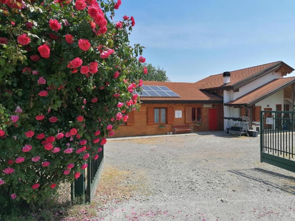 Agriturismo bio Apipoli Lucino Esterno foto
